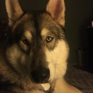 Meet your Posher, Wendy